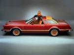 Ford Thunderbird Sport T-Roof Convertible 1978 года